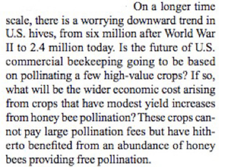 Illustration for article titled Massive Honeybee Dieoffs Must Be Addressed Now, Say Scientists